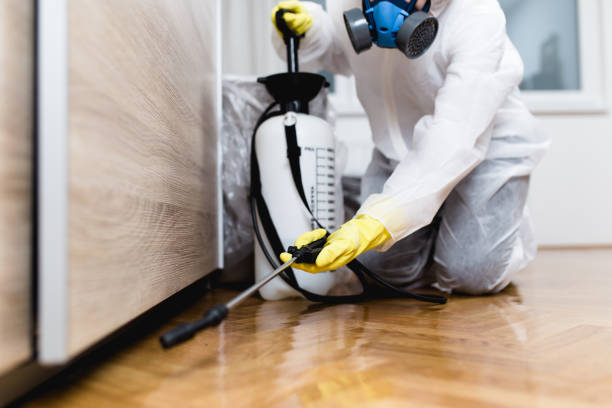 Best Local Pest Control Services  in Cameron Park, TX