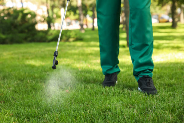 Professional Pest Control in Cameron Park, TX