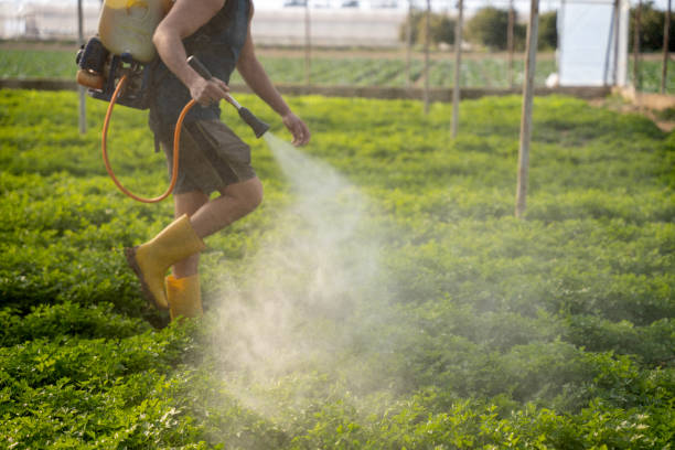 Best Best Pest Control Companies  in Cameron Park, TX